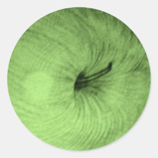 Aufkleber für grüne Äpfel
