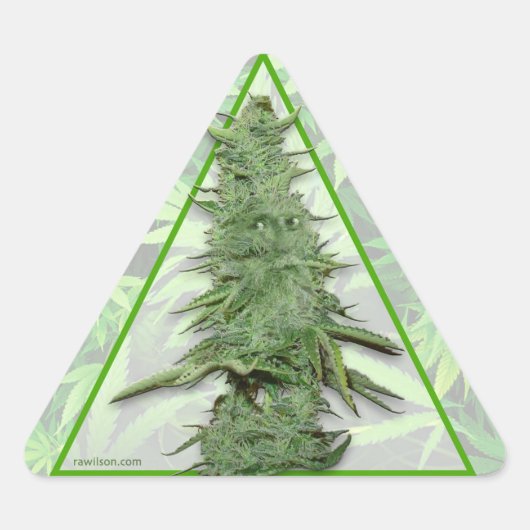 Aufkleber für grünen Bob (20) (Vorderseite)