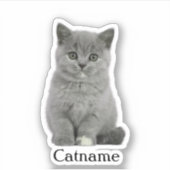 Aufkleber für Haustiere, Die Vinyl wasserdicht (Vorderseite)
