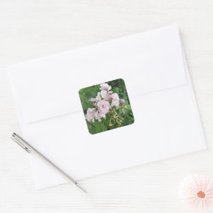 Aufkleber für hübsche rosa Blume