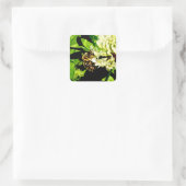 Aufkleber für Hummeln (Tasche)