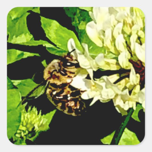 Aufkleber für Hummeln (Vorderseite)
