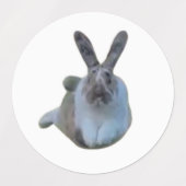 Aufkleber für IRL-Paddies (Design 2)