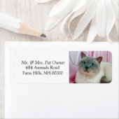 Aufkleber für Katzen-Rücksendeadressen-Aufkleber (Insitu)