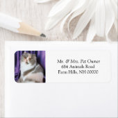 Aufkleber für Katzenposing-Rücksendeadressen-Aufkl (Insitu)