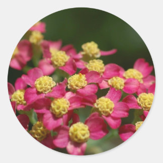 Aufkleber für kleine Blume