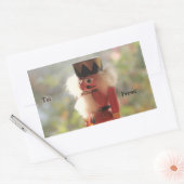 Aufkleber für knackige Nussknacker (Umschlag)