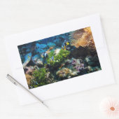 Aufkleber für Korallenriffe (Umschlag)