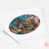 Aufkleber für Korallenriffe (Umschlag)