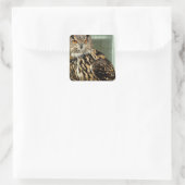 Aufkleber für langgezogene Eule (Tasche)