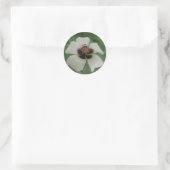 Aufkleber für Lila Passionsblumen (Tasche)