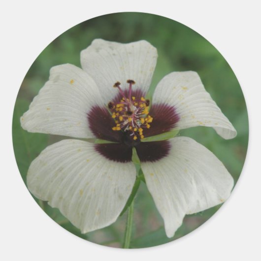 Aufkleber für Lila Passionsblumen (Vorderseite)