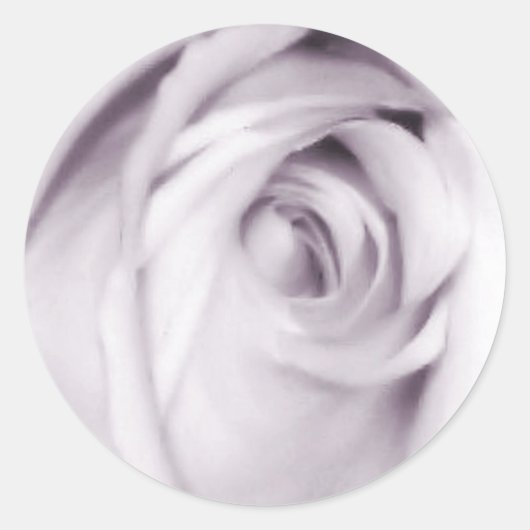 Aufkleber für lila Rose (Vorderseite)