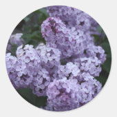 Aufkleber für Lilac-Blume (Vorderseite)