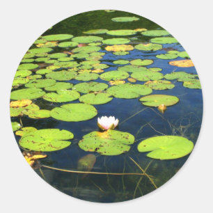 Aufkleber für Lily-Pads