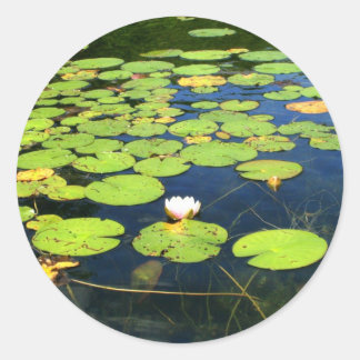 Aufkleber für Lily-Pads