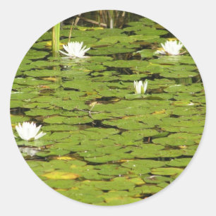 Aufkleber für Lily-Pads