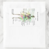 Aufkleber für männliche Skelette (Tasche)