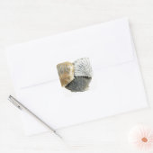 Aufkleber für Muschel (Umschlag)