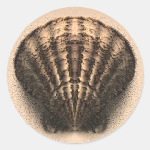 Aufkleber für Muschel