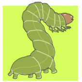 Aufkleber für niedliche grüne Raupe (Vorderseite)