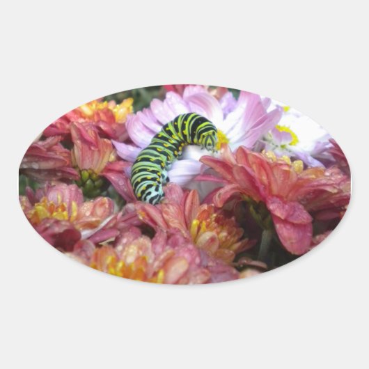 Aufkleber für niedliche Raupe (Vorderseite)