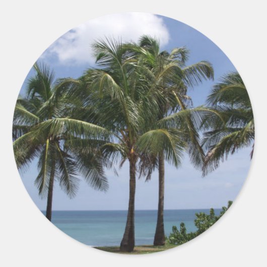 Aufkleber für Palmen (Vorderseite)