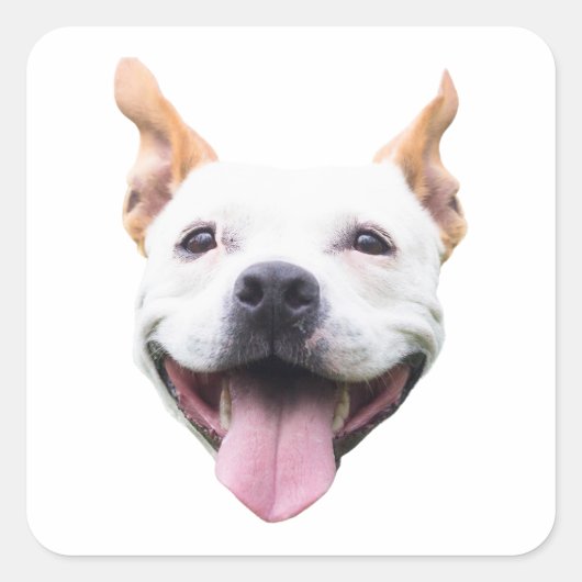 Aufkleber für Personalisierte Hunde (Vorderseite)