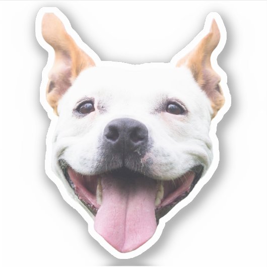 Aufkleber für Personalisierte Hunde (Vorderseite)