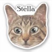 Aufkleber für Personalisierte Katzenaufkleber (Vorderseite)