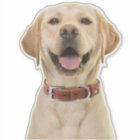 Aufkleber für personalisiertes Foto