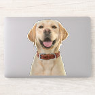 Aufkleber für personalisiertes Foto