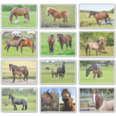 Aufkleber für Pferde (oder IHRE Fotos) (Vorderseite)