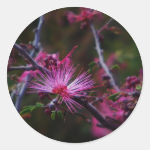 Aufkleber für Rosa-Feen