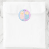 Aufkleber für Rosa und Blaues Geschlecht (Tasche)