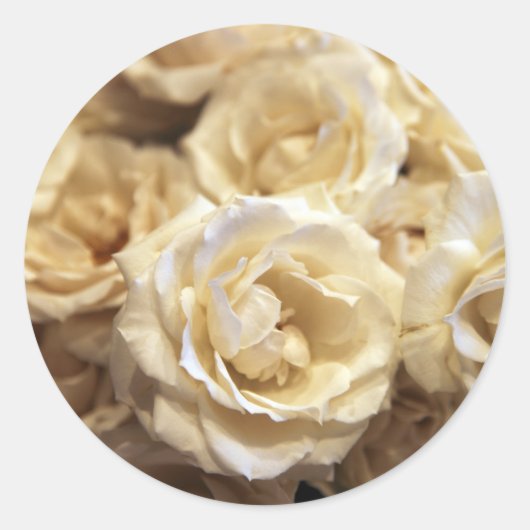 Aufkleber für Rose (Vorderseite)