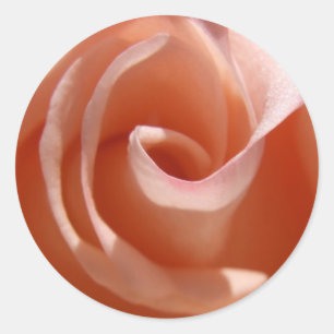 Aufkleber für Rose