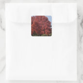 Aufkleber für Rote Bäume (Tasche)