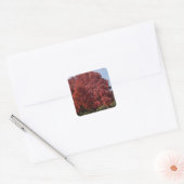 Aufkleber für Rote Bäume (Umschlag)
