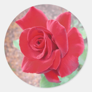 Aufkleber für rote Rosen