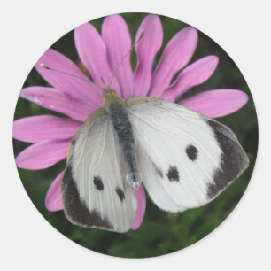 Aufkleber für Schmetterlinge und rosa Blume