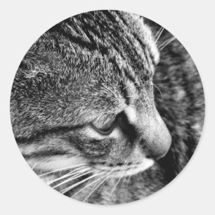 Aufkleber für Schwarz-Weiß-Katzen