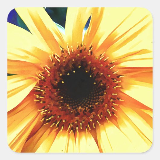 Aufkleber für Sonnenblumen (Vorderseite)