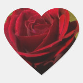 Aufkleber für texturierte Rote Rose (Vorderseite)