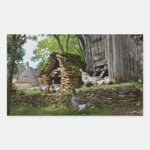 Aufkleber für traditionelle Foie Gras-Gänse