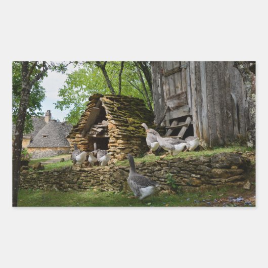 Aufkleber für traditionelle Foie Gras-Gänse (Vorderseite)