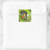 Aufkleber für tropengrüne Vögel (Tasche)