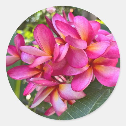 Aufkleber für tropische Blume (Vorderseite)