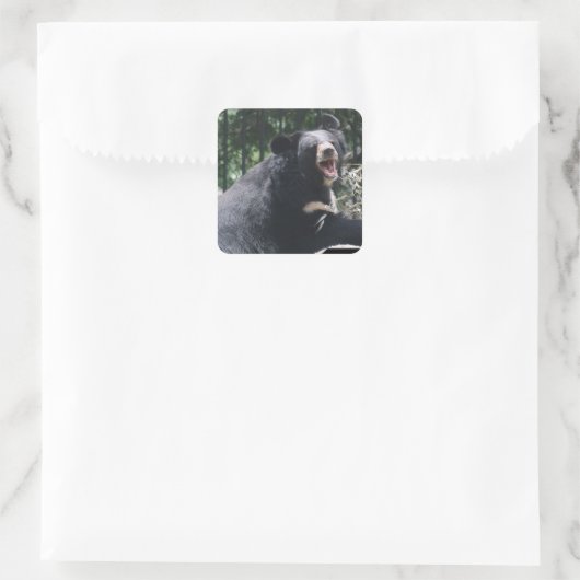 Aufkleber für wachsende Bären (Tasche)