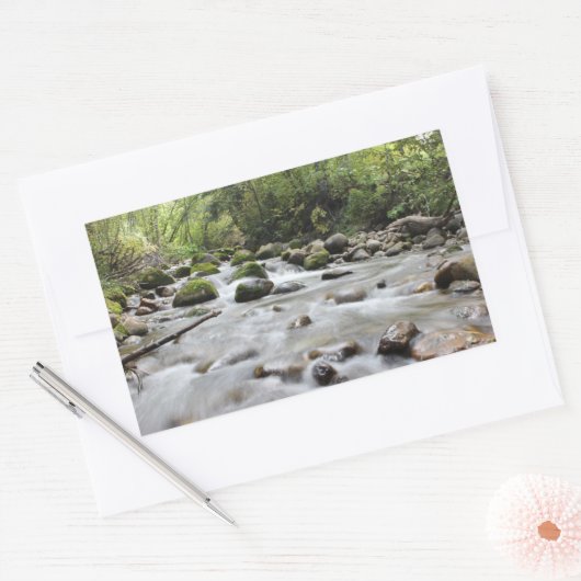 Aufkleber für Waldstreifen (Umschlag)